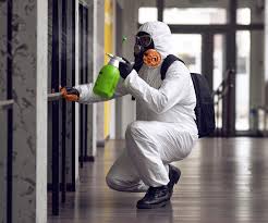 Best Basement Mold Removal  in USA